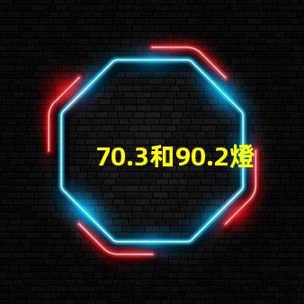 70.3和90.2燈珠哪個好 sFN60燈珠和70.3哪個好